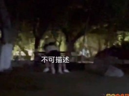 情侣在校园长椅上做不可描述的事