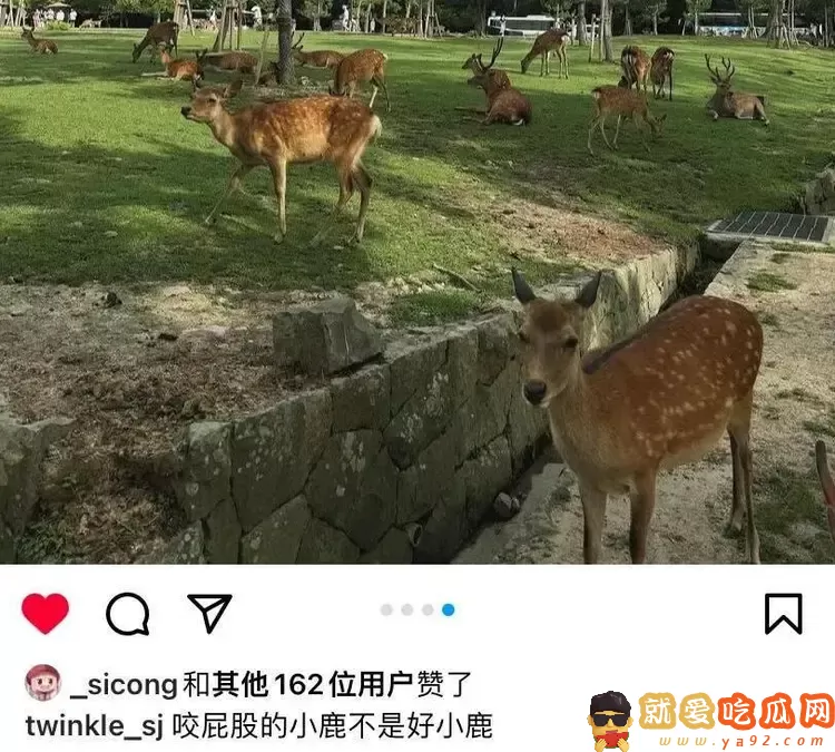 王思聪带女友现身成人店,偷偷点赞前女友美照,新欢旧爱暗中较劲-吃瓜网
