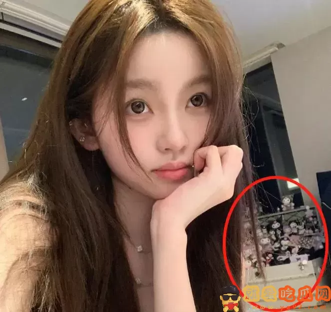 王思聪带女友现身成人店,偷偷点赞前女友美照,新欢旧爱暗中较劲-吃瓜网