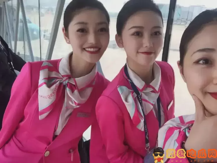 空姐最后都嫁给了谁?大数据揭秘-吃瓜网